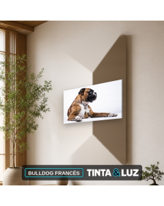 BULLDOG FRANCÉS
