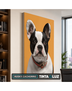 HUSKY CACHORRO