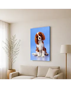 CHIHUAHUA II