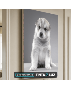 CHIHUAHUA III