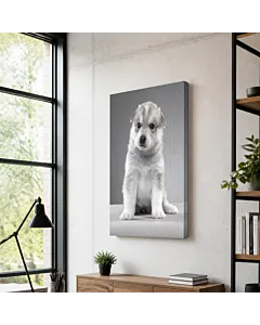 CHIHUAHUA III