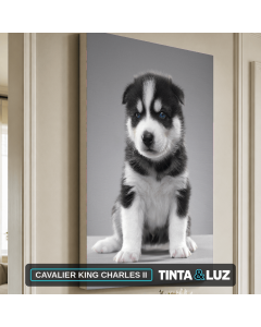 CAVALIER KING CHARLES II