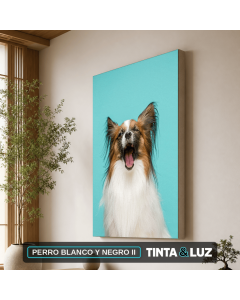 PERRO BLANCO Y NEGRO II