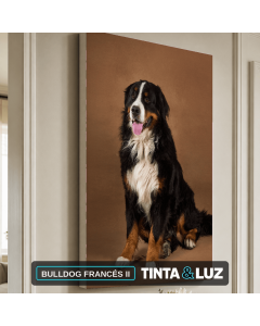 BULLDOG FRANCÉS II