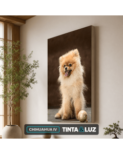 CHIHUAHUA IV