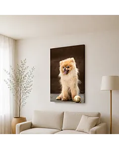 CHIHUAHUA IV