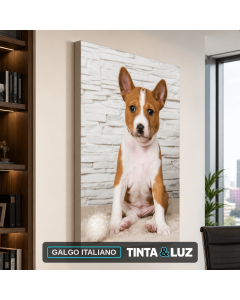 GALGO ITALIANO