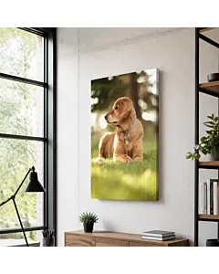 CHIHUAHUA V