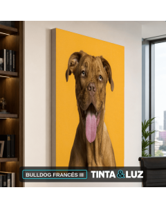 BULLDOG FRANCÉS III
