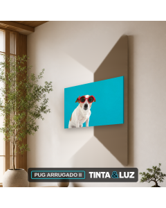 PUG ARRUGADO II