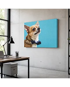 PERRO Y PERIÓDICO