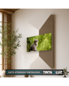 GATO ATIGRADO ESPONJOSO