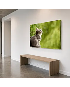 GATO ATIGRADO ESPONJOSO