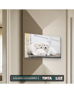 GOLDEN CACHORRO II