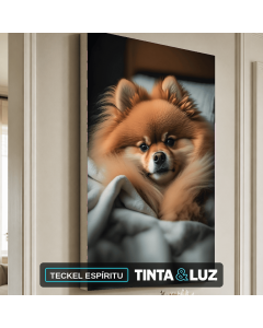 TECKEL ESPÍRITU