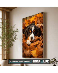 PERRO ENTRE HOJAS