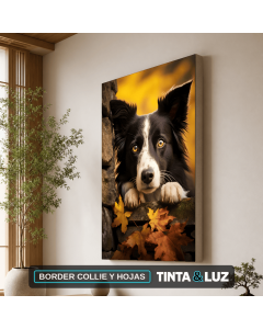 BORDER COLLIE Y HOJAS