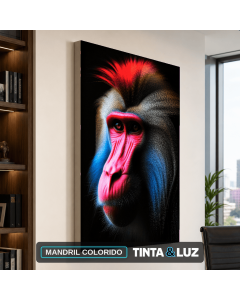 MANDRIL COLORIDO