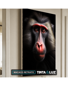 MACACO RETRATO