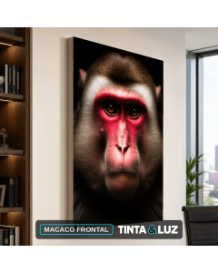 MACACO FRONTAL