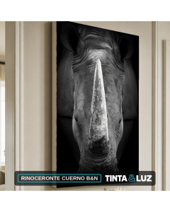RINOCERONTE CUERNO B&N