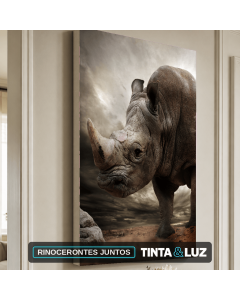 RINOCERONTES JUNTOS