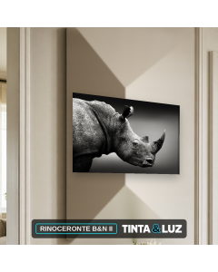 RINOCERONTE B&N II