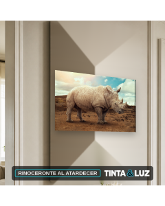 RINOCERONTE AL ATARDECER