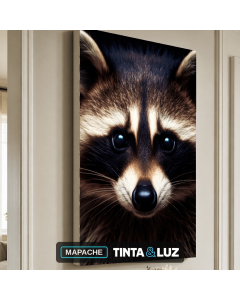 MAPACHE