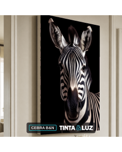 CEBRA B&N