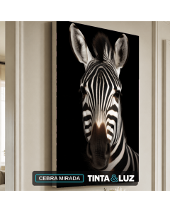 CEBRA MIRADA