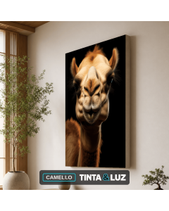 CAMELLO