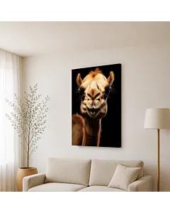 CAMELLO