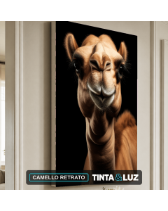 CAMELLO RETRATO