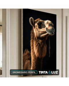 DROMEDARIO PERFIL