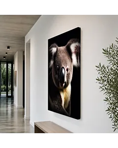 KOALA MIRADA
