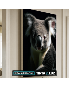 KOALA FRONTAL
