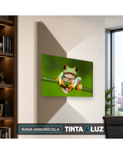 RANA ARBORÍCOLA