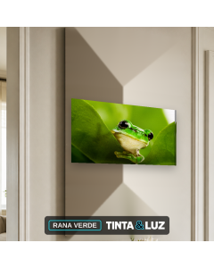 RANA VERDE