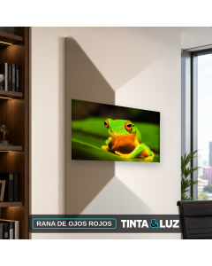 RANA DE OJOS ROJOS