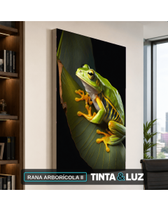 RANA ARBORÍCOLA II