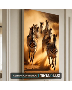 CEBRAS CORRIENDO