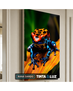 RANA DARDO