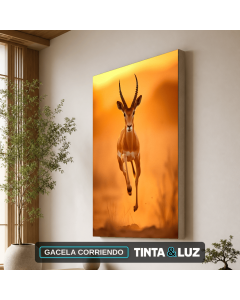 GACELA CORRIENDO