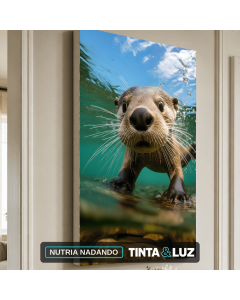 NUTRIA NADANDO