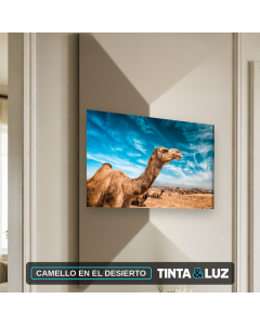 CAMELLO EN EL DESIERTO