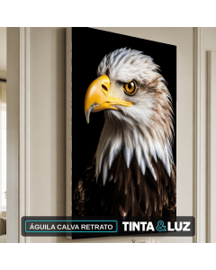 ÁGUILA CALVA RETRATO