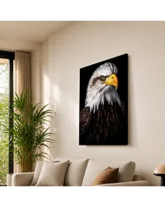 ÁGUILA CALVA II