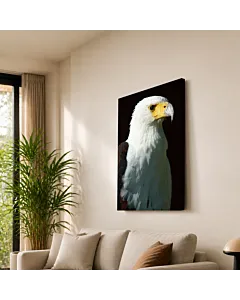 ÁGUILA CALVA MIRADA
