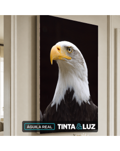 ÁGUILA REAL